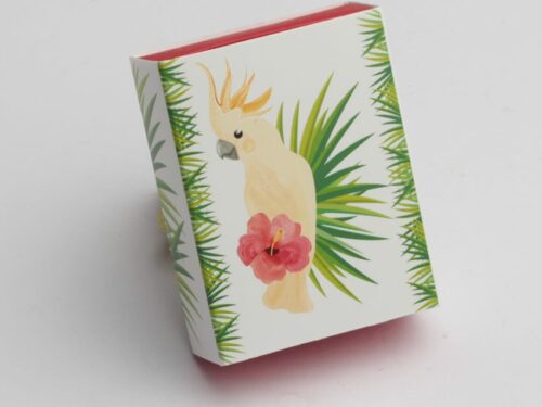 contenant à dragées perruche-collection tropical exotique