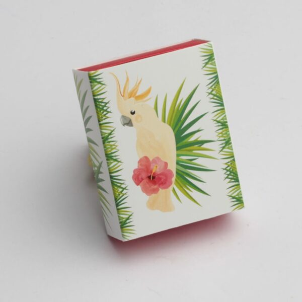 contenant à dragées perruche-collection tropical exotique