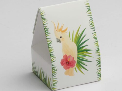 contenant à dragées perruche tropical exotique