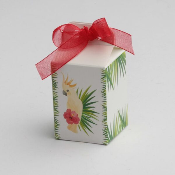 contenant à dragées perruche tropical exotique