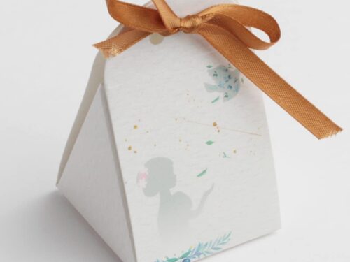 boite iris communion garçon avec colombe