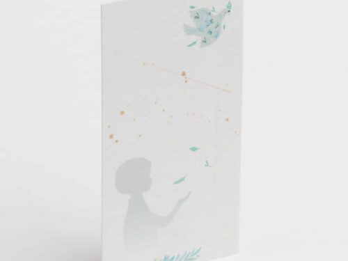 image communion garçon avec colombe