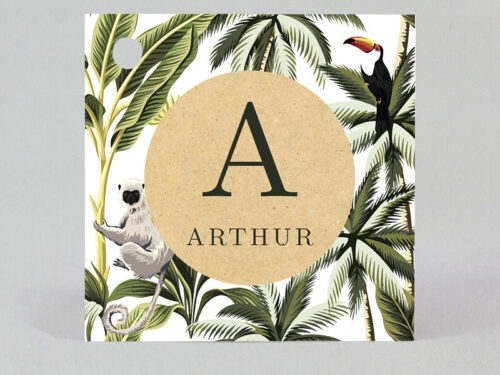 Étiquette à dragées - Carré - Koala