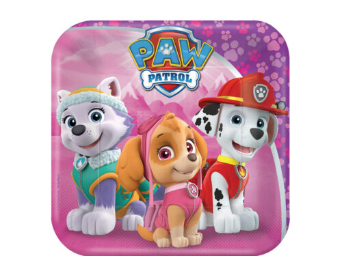 Décoration anniversaire Pat Patrouille Fille Assiette carton anniversaire Pat'Patrouille rose