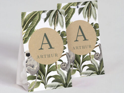 Boite à dragées Koala