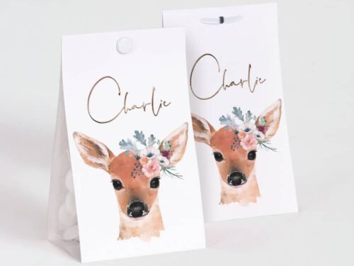 Contenant a dragees biche