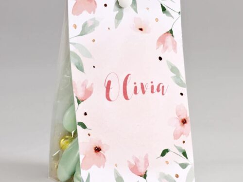 Boite a dragées peche et mint