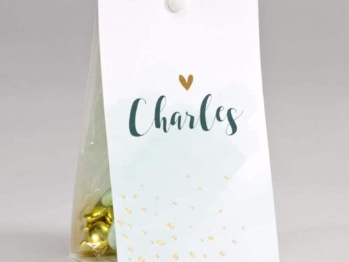 Boite à dragées Pastel Mint - Personnalisable