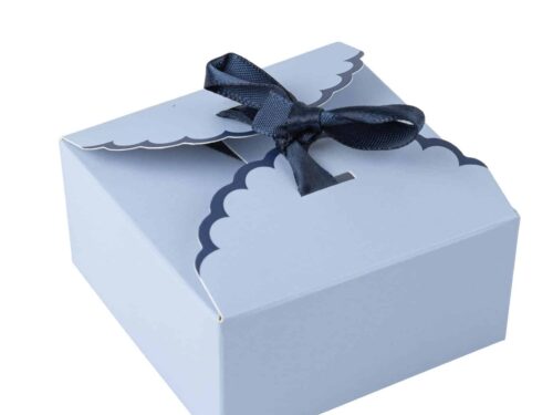 96046 Contenant Bi-Color Bleu