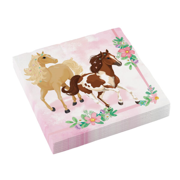 Serviette anniversaire cheval