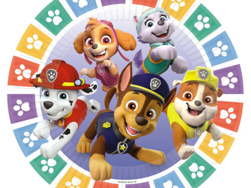Assiette carton anniversaire Pat'Patrouille bleue