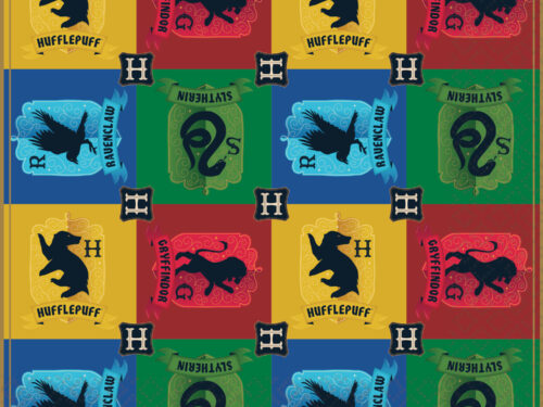 Serviette anniversaire Harry Potter
