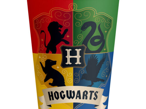 Gobelet anniversaire Harry Potter