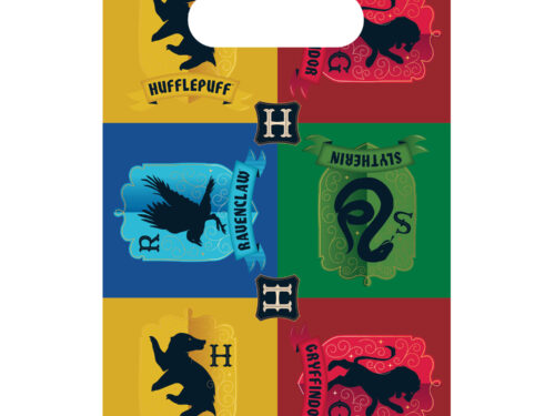 Sachet bonbon anniversaire Harry Potter