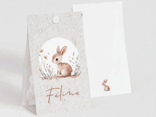 Boite a dragees lapin