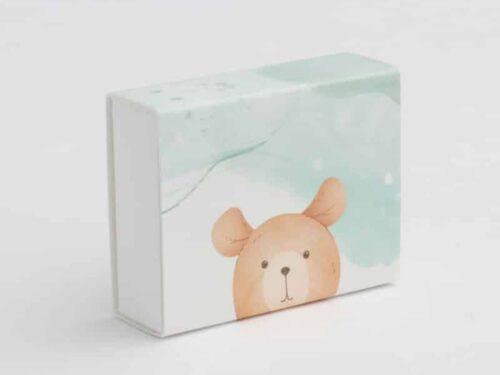 Boite dragées ourson vert d'eau et taupe - fourreaux