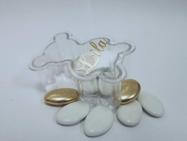 Contenant dragees ourson plexi