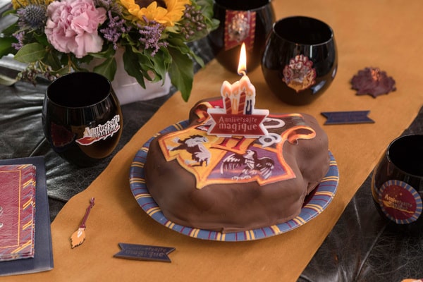 Deco gateau anniversaire sorcier