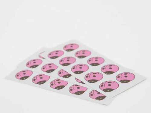 Stickers coccinelle rose dragées baptême Lot de 30