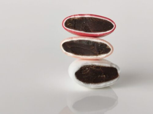 dragees chocolat echantillon