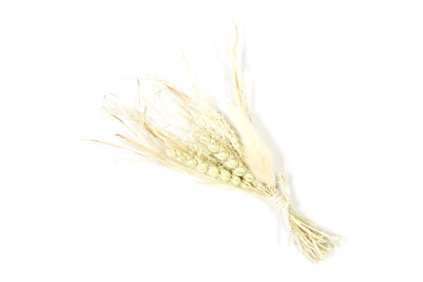 Bouquet Fleurs séchées