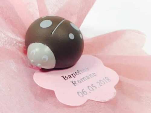 clip coccinelle taupe dragees coccinelle