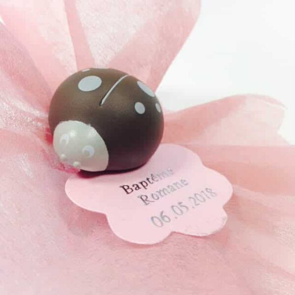 clip coccinelle taupe dragees coccinelle