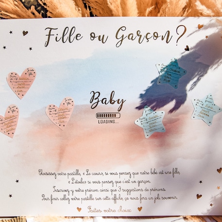 Jeux gender Reveal 79135