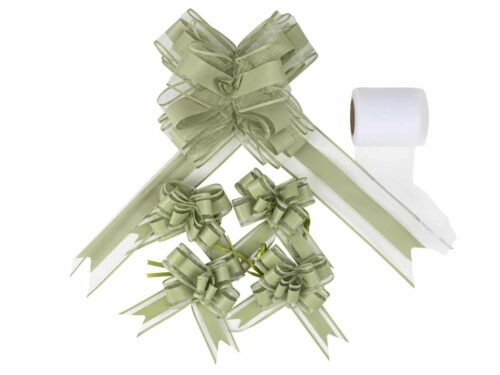 Kit décoration de Voiture Vert Eucalyptus