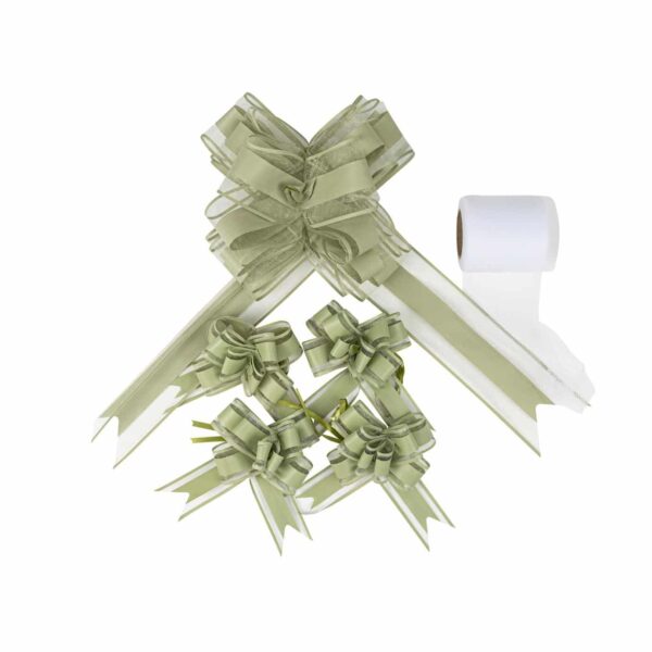 Kit décoration de Voiture Vert Eucalyptus