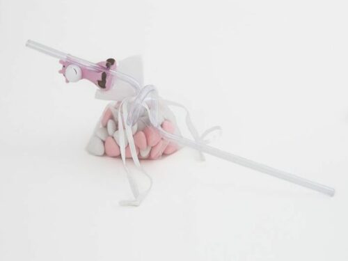 Paille Girafe Rose