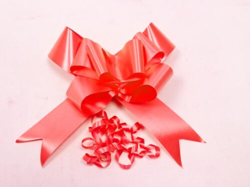 Noeud decoration voiture rouge