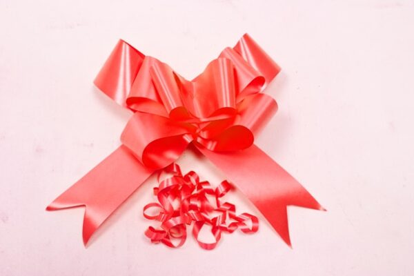 Noeud decoration voiture rouge