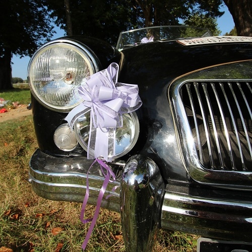 Noeud à tirer lilas deco de voiture