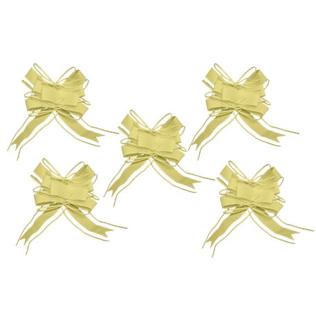 Noeud voiture mariage jaune