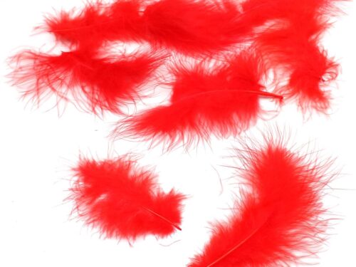 plumes rouges
