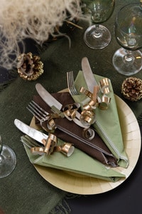 Serviettes papier - Vert Eucalyptus - Lot de 25