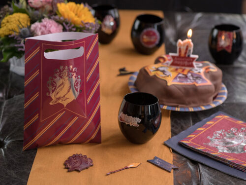 Sac bonbon anniversaire harry potter