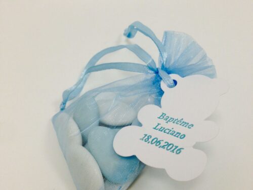 sac à dragées organza mint