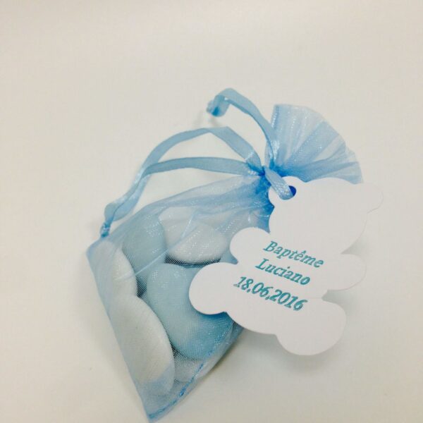 sac à dragées organza mint