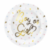 assiette boy or girl gender reveal