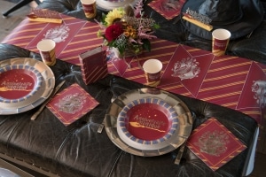 assiette et gobelet harry potter apprenti sorcier