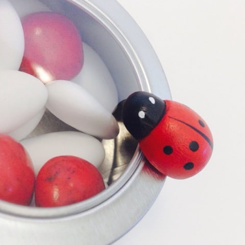 bapteme theme coccinelle