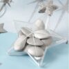contenant dragees etoile plexi deco bapteme
