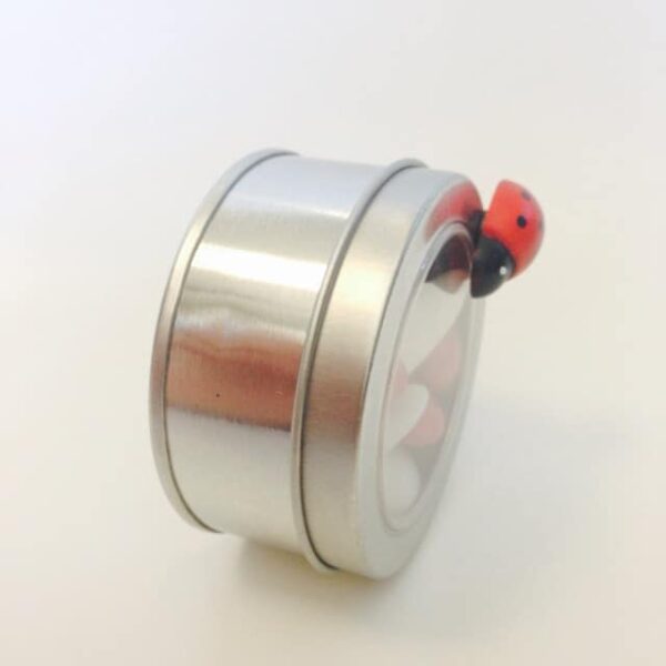 Coccinelle aimantée en bois