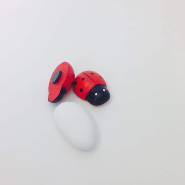 Coccinelle aimantée en bois