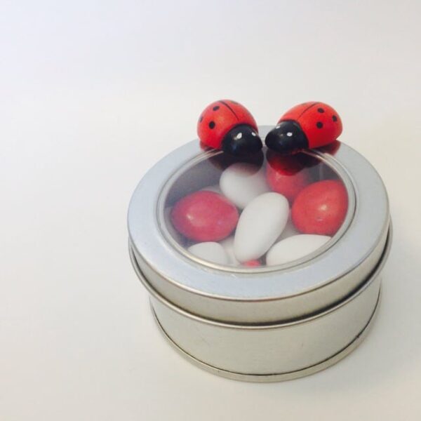 Coccinelle aimantée en bois