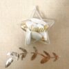 contenant dragees etoile (1)