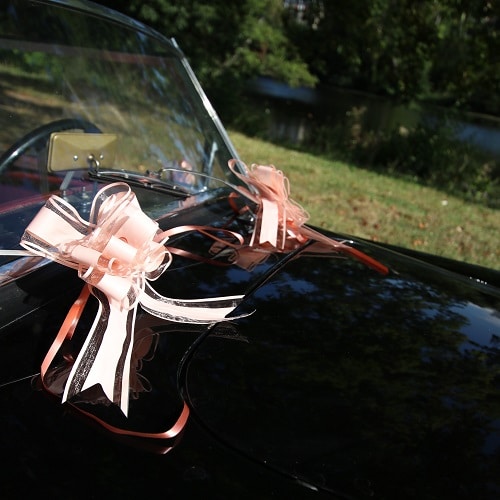 Noeud Voiture Mariage - Rose poudré - Lot de 5