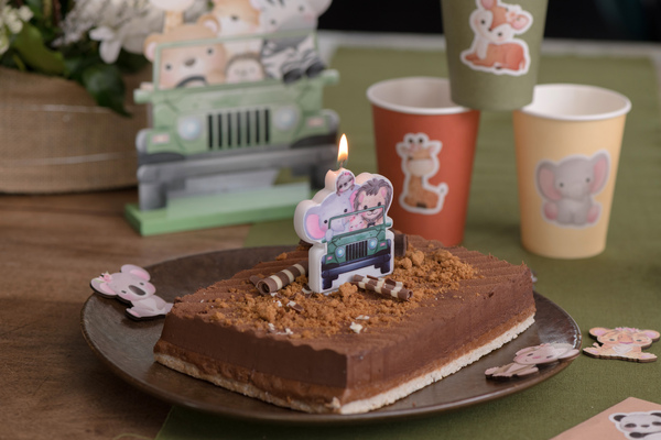 decoration gateau safari explorateur jungle bougie